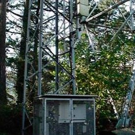 Sondikatel antena en zona vede